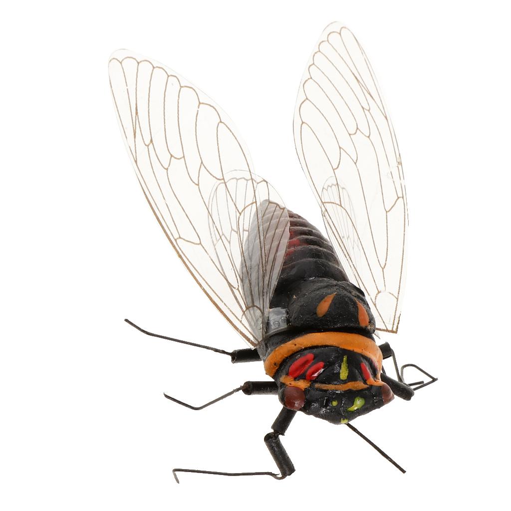 2X Clay Insect Model magnete d - Art Craft Clay recensione e prezzo