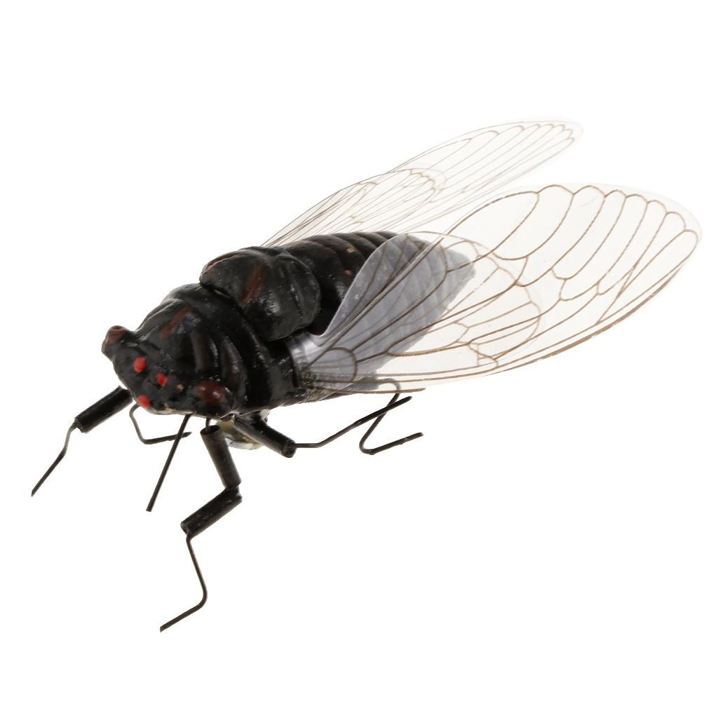 2X Clay Insect Model magnete d - Art Craft Clay recensione e prezzo