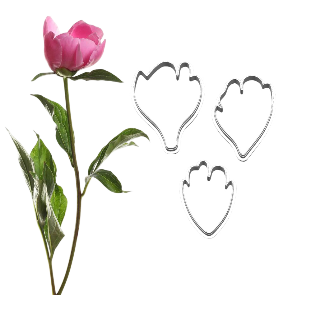 Nuovi Stampi e Taglierine in S - Art Craft Clay recensione e prezzo