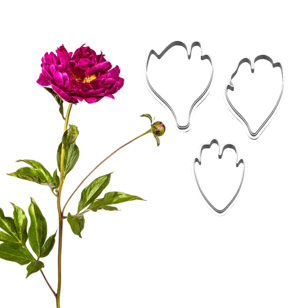 Nuovi Stampi e Taglierine in S - Art Craft Clay recensione e prezzo