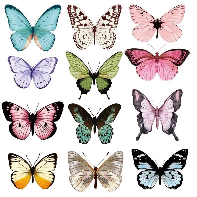 12 pezzi adesivi murali farfal - Art Craft Room recensione e prezzo